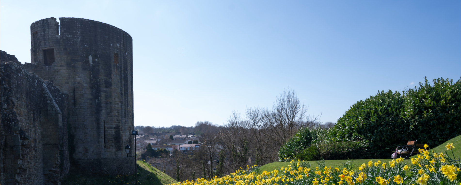 castle next to a hill fill of daffodils